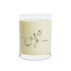 Costum Botanical Molecule Soy Candle — 11oz