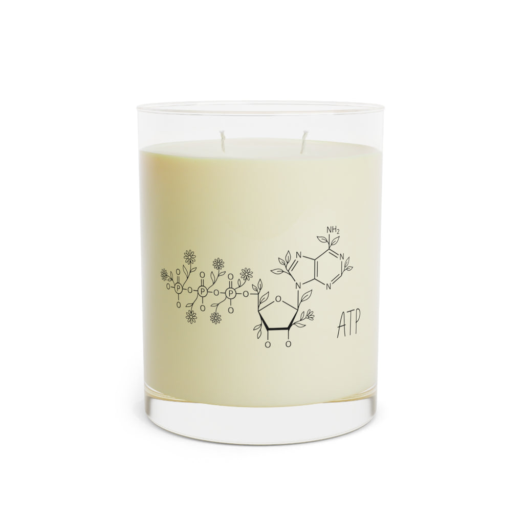 Costum Botanical Molecule Soy Candle — 11oz